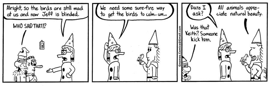 157 - Birds 8