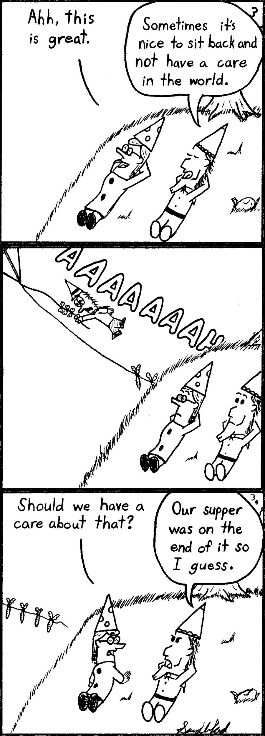 14-kite 2