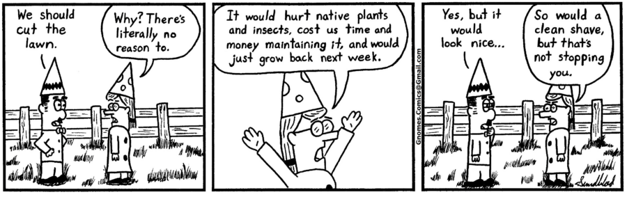 33-Lawn