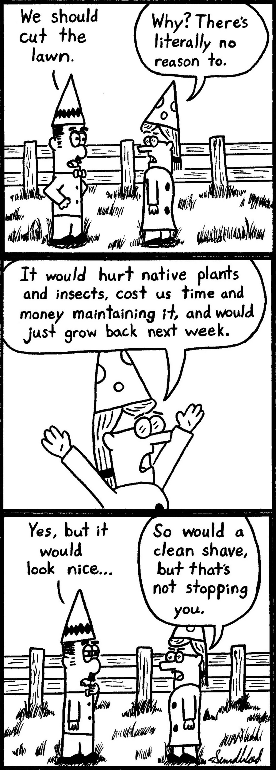 33-Lawn