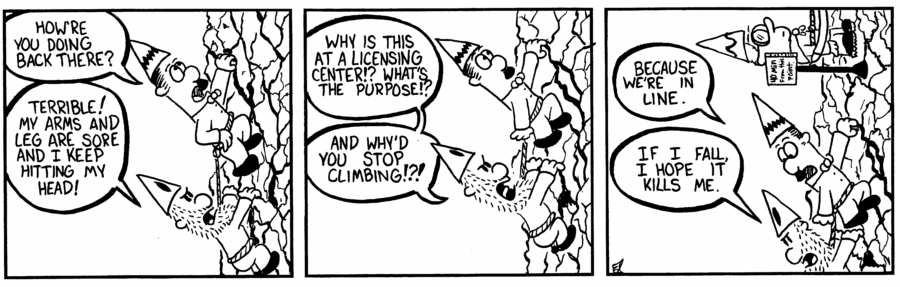 License 6